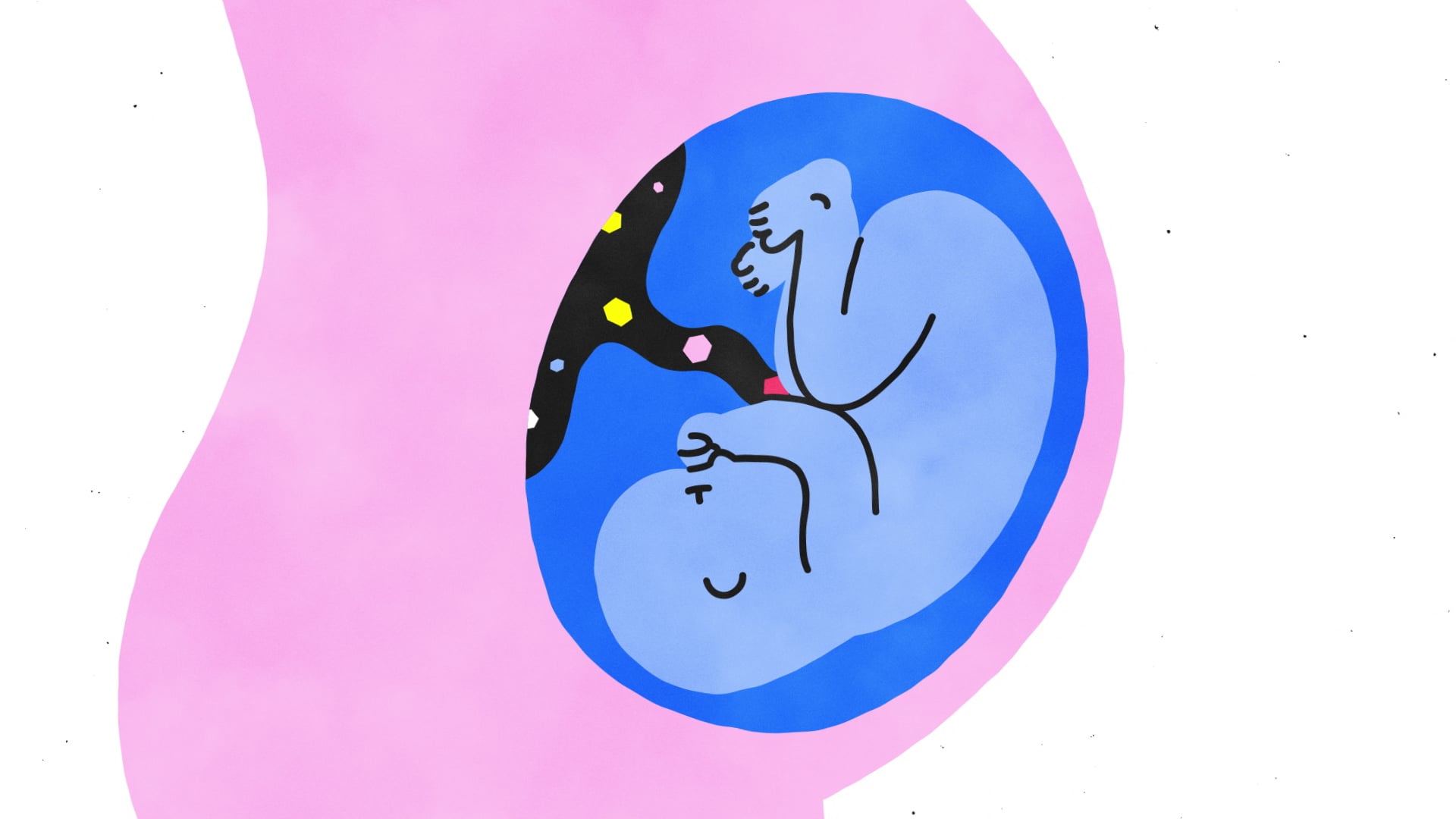 il sesso svelato