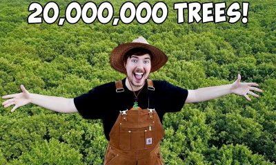 MrBeast e i 20 Milioni di Dollari (per 20 milioni di alberi) 1