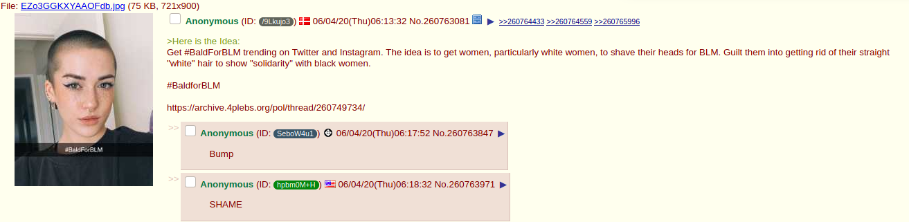 gobaldforblm 4chan post
