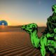 Silk Road