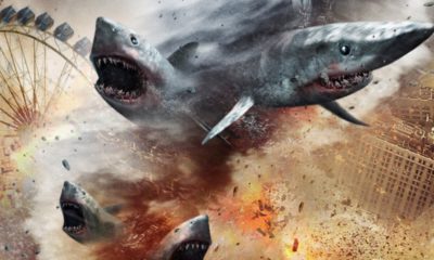 5 film trash da guardare sotto l'ombrellone 16