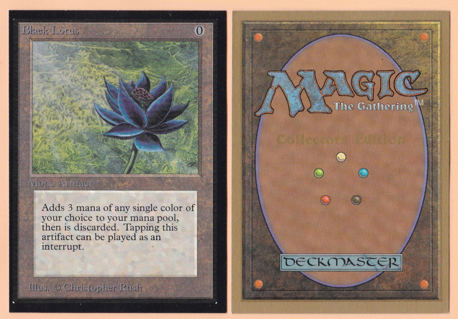 black lotus
