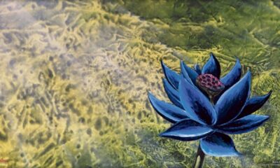 black lotus
