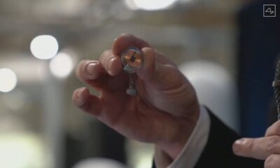 Elon Musk svela Neuralink: la demo dei 3 maiali 18 neuralink