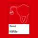 Period: oggi Pantone omaggia il ciclo mestruale 13 period