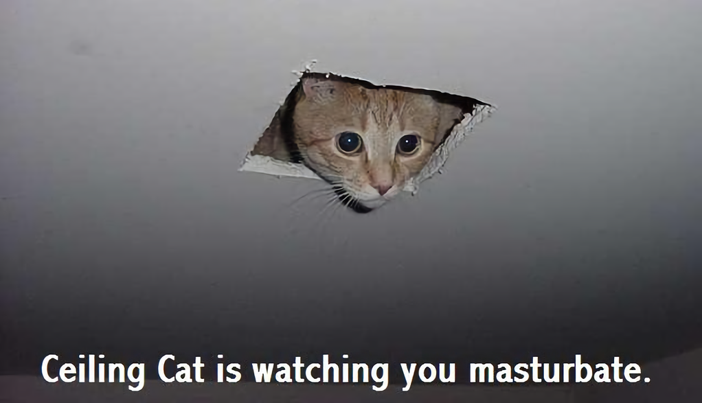 Internet e i Gatti: storia di una coppia vincente 2 LOLCats - Ceiling Cat
