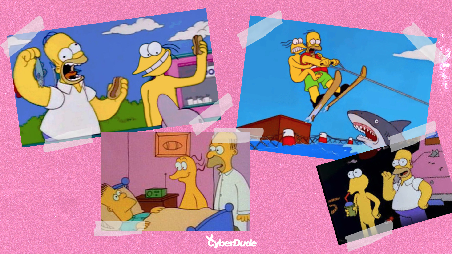 Chi si ricorda di Graggle Simpson?