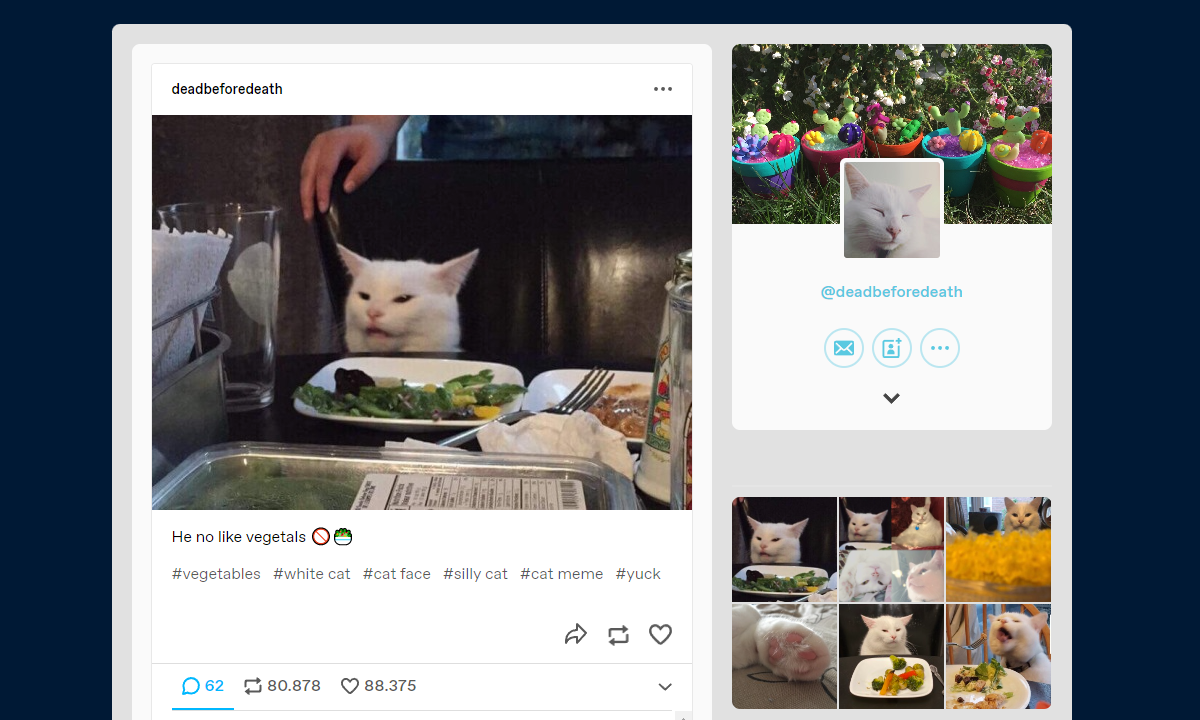 Smudge the Cat- He no likes vegetals Smudge the Cat- He no likes vegetals