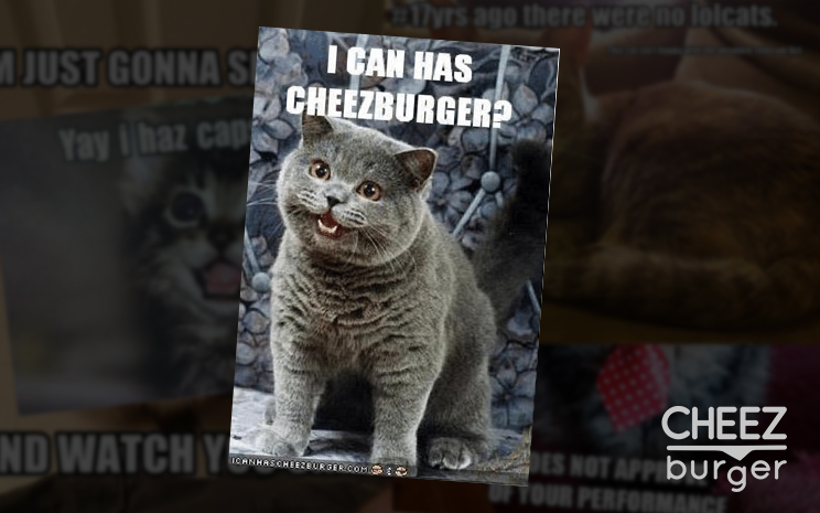 I can has Cheezburger I can has Cheezburger