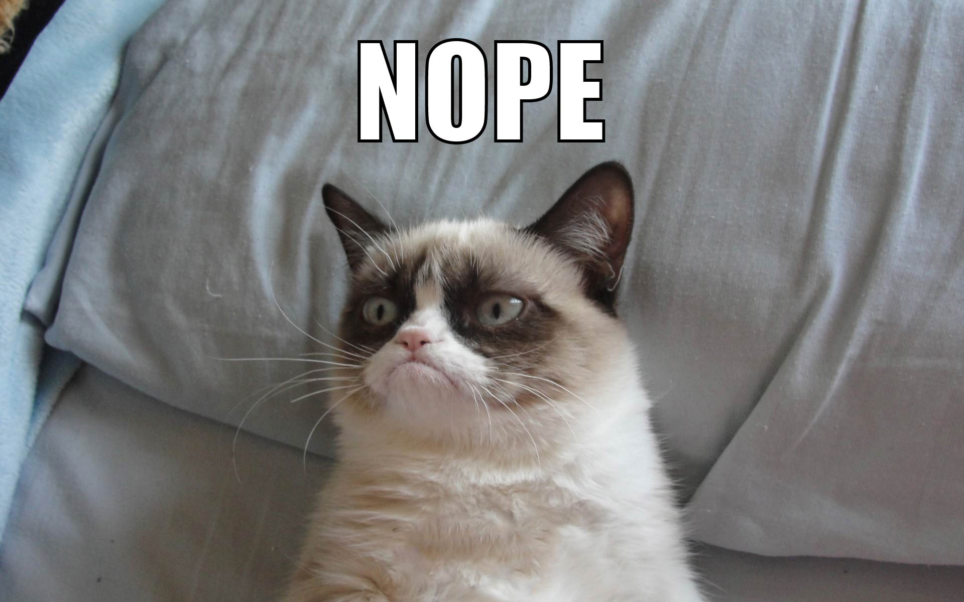 Grumpy Cat - Meme Grumpy Cat - Meme