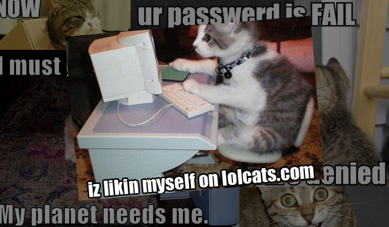 LolCats - Meme LolCats - Meme