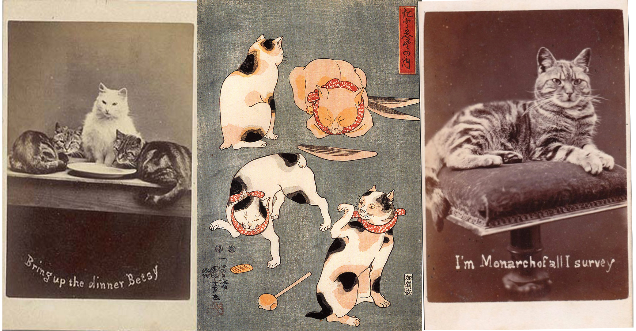 Cartoline Vintage - LOLCats Cartoline Vintage - LOLCats